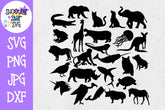 Animal Alphabet - Children's SVG